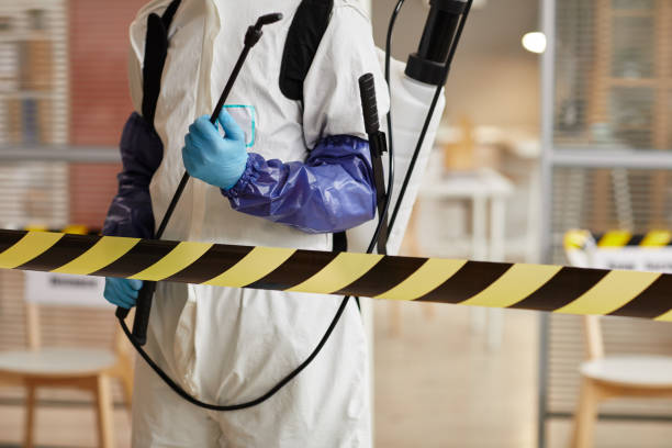 Professional Hoarding Cleanup technician working in Preston, TX